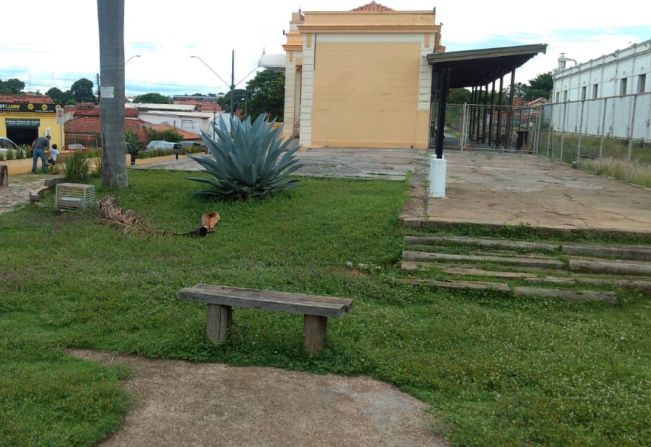 Feirinha da Lua terá Edição Especial de Natal em três dias na Estação Sorocabana