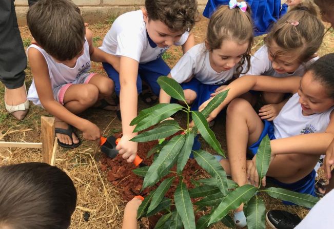 Indicada como Instalação Modelo, escola de Agudos Anésia Bigarelli realiza arborização com apoio da comunidade