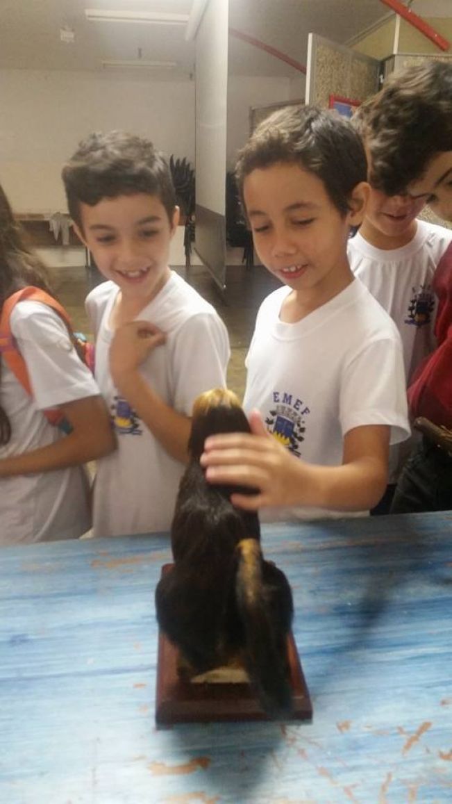 Animais em extinção e preservação ambiental são tema de palestra aos alunos da rede municipal de ensino